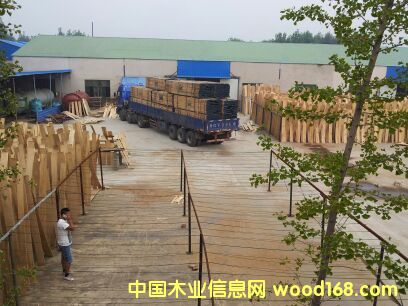 �ذ���壬�W��  ����