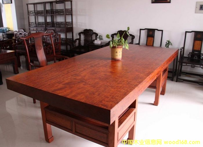 巴花的詳細(xì)介紹