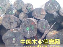 �һ��ĵ�Ԕ��(x��)��B