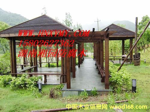 �Lɳ����ľ��ͤ��Ԕ����B