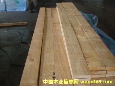 �����m����ݗ����