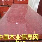 �ߌӽ���ģ�� ���z���Ԕ��(x��)��B