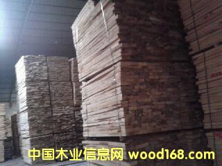 [��] ��ľ���