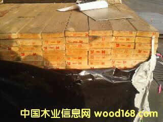 [��] �����ɼҾ�ľ�Č��u��