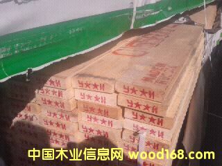 [��] ��ľ���