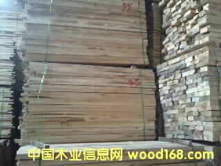 [��] ��ľ���