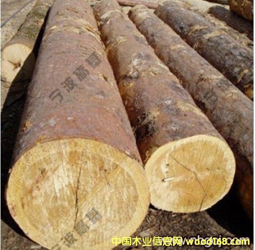 �W�ް��ɣ���ɼ��ԭľС����Ԕ����B