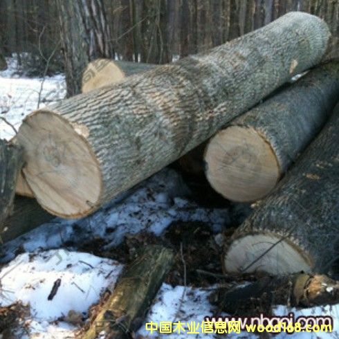 �W�ްט�ԭľ�󏽵�Ԕ����B