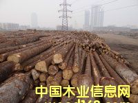 ���ɵ�Ԕ��(x��)��B