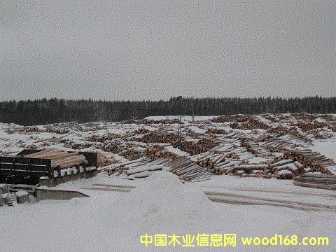 ���m��ľ���1��Ԕ����B