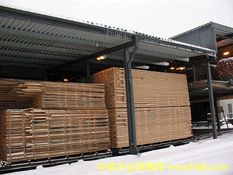 ���m��ľ���1��Ԕ����B