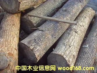 ̩�����zľ�M�����m(x��)-�V�����zľ�M�����P(gu��n)��˾