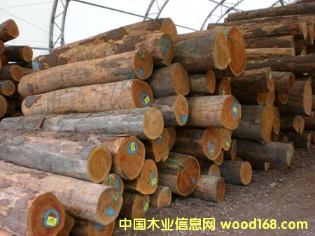 �ں����M(j��n)�ڈ�(b��o)�P(gu��n)|�ں����M(j��n)������|�ں����M(j��n)�ڕr(sh��)�g