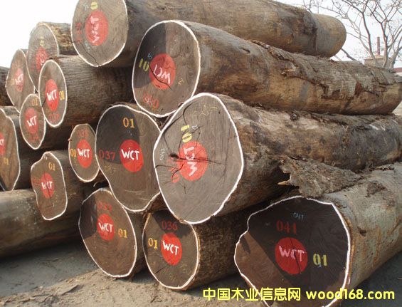 �����u��ľ�M(j��n)�ڈ�(b��o)�P(gu��n)|�M(j��n)������|�ۿ����P(gu��n)�M(f��i)��