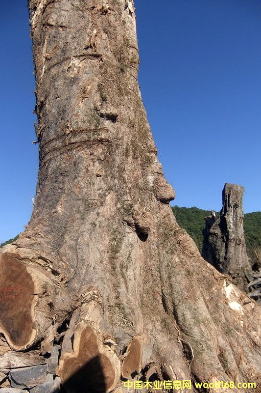 �ľ��Ԕ��(x��)��B