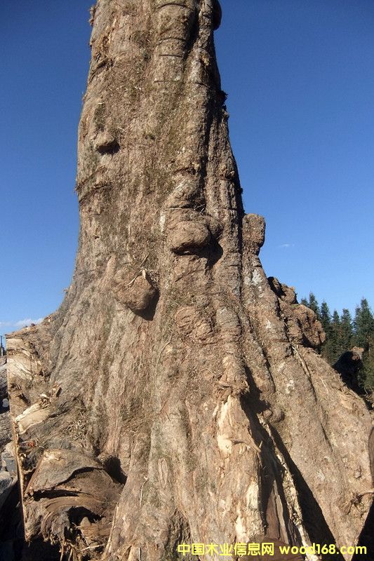 �ľ��Ԕ��(x��)��B