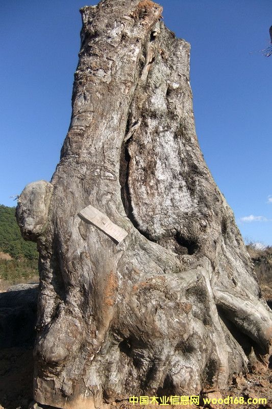 �ľ��Ԕ��(x��)��B