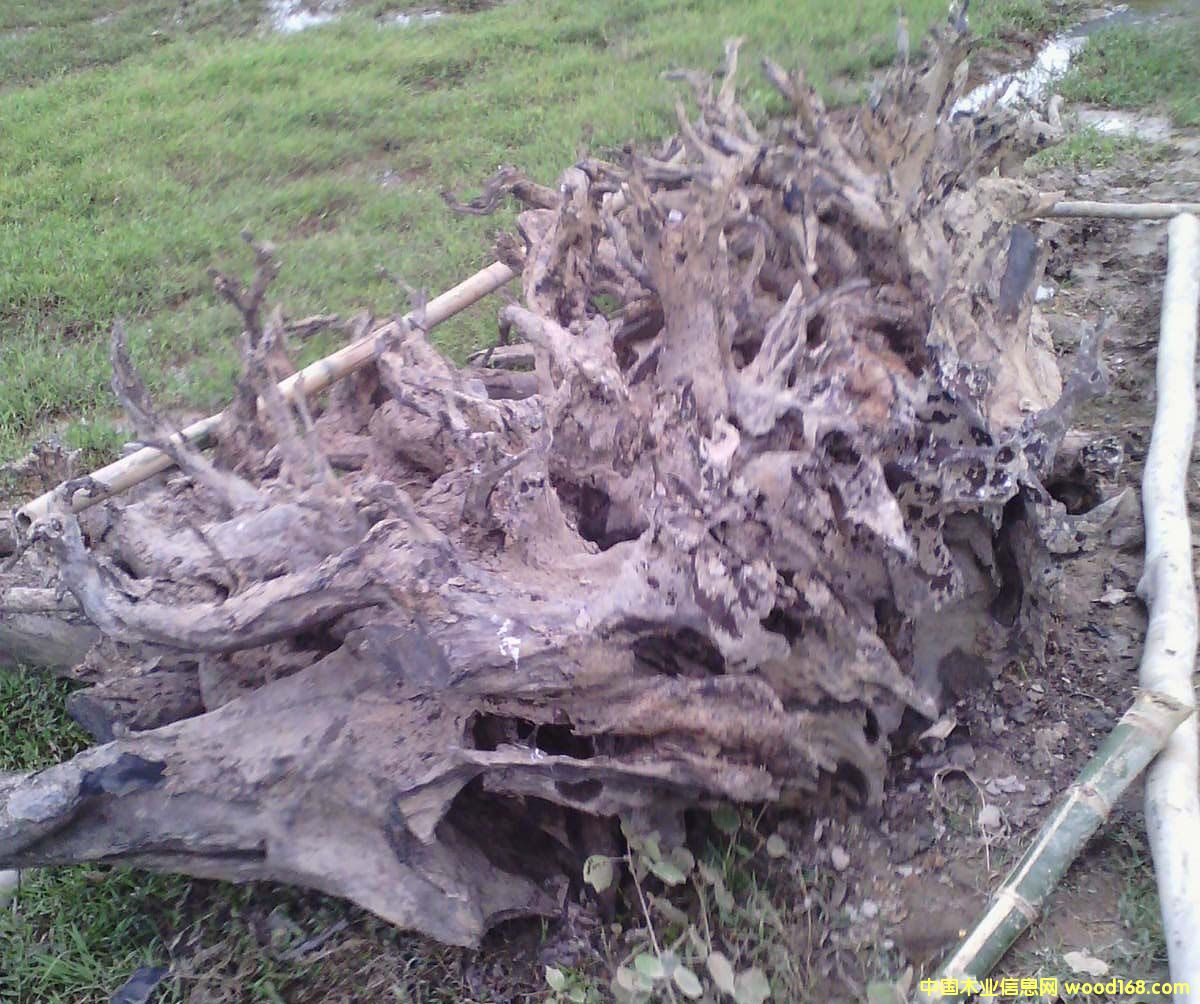 ˮ��ꎺ��F��ľ�^��Ԕ����B