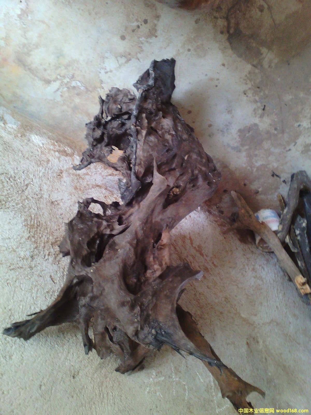 ˮ��ꎺ��F��ľ�K��Ԕ����B