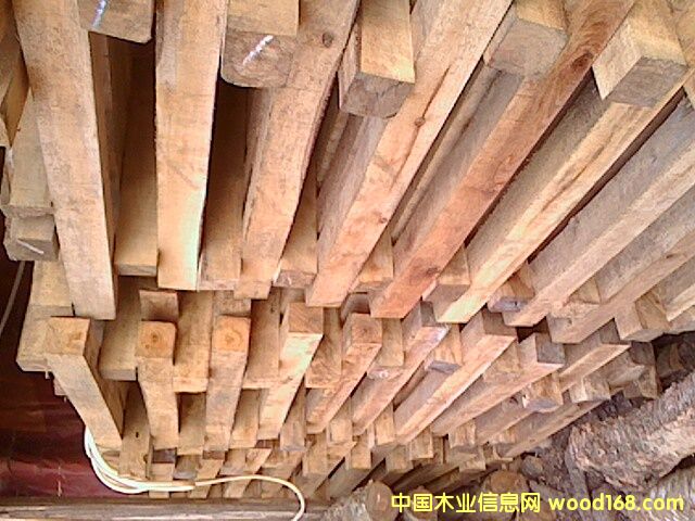 樺木方條的詳細(xì)介紹