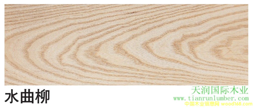 ˮ������Ԕ��(x��)��B