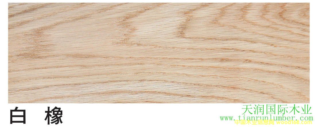 �����Ԕ��(x��)��B