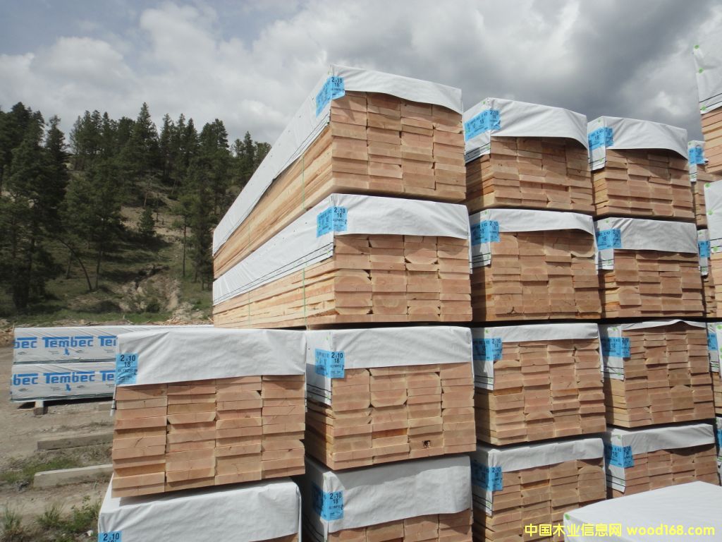 spf��Ԕ����B