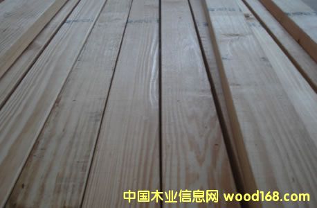 芬蘭木的詳細(xì)介紹