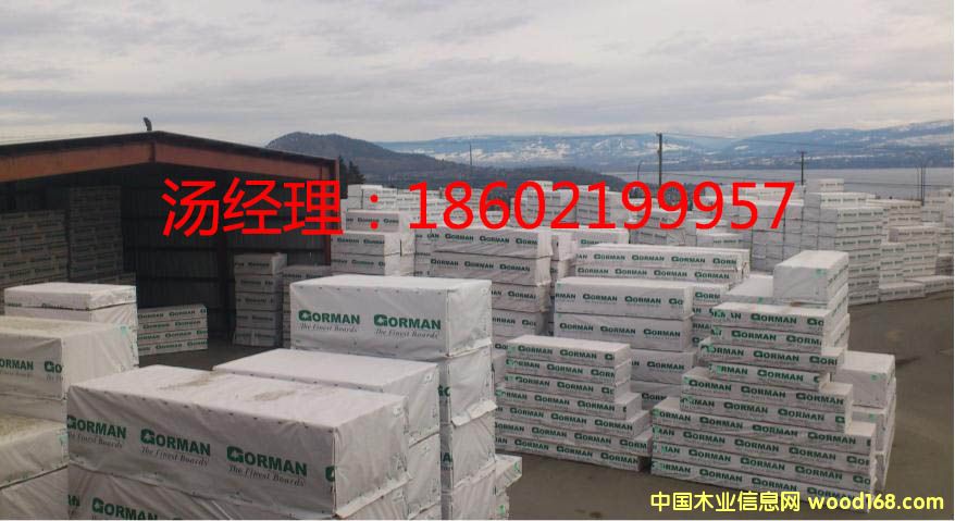 ����19����