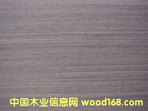 E.V�F��RIV-119��Ԕ��(x��)��B