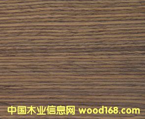 E.V��֦-828��Ԕ��(x��)��B