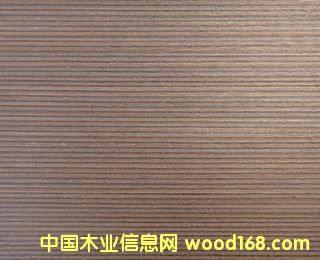 E.V�F��RIV-107p��Ԕ��(x��)��B