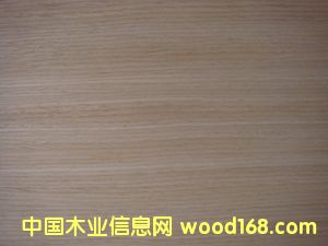 E.V����-416��Ԕ��(x��)��B