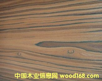 E.V��֦-818c��Ԕ��(x��)��B