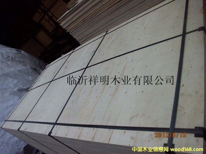 [��] �z�ϰ�12����b���бP(p��n)��Ҿ߰�