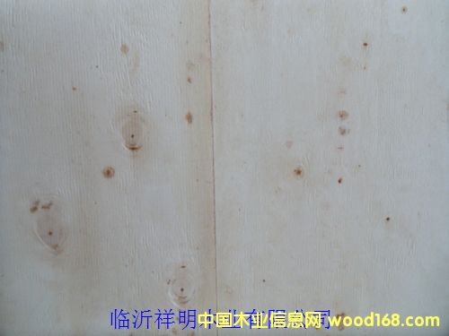 �z�ϰ�6����b���бP(p��n)�����о