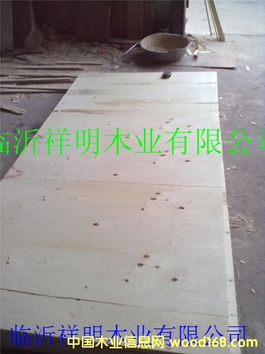 �z�ϰ�8����b���бP(p��n)�����о