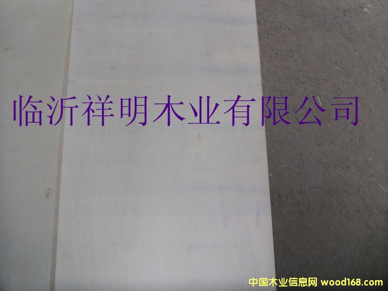 �z�ϰ�5����b���бP(p��n)�����о