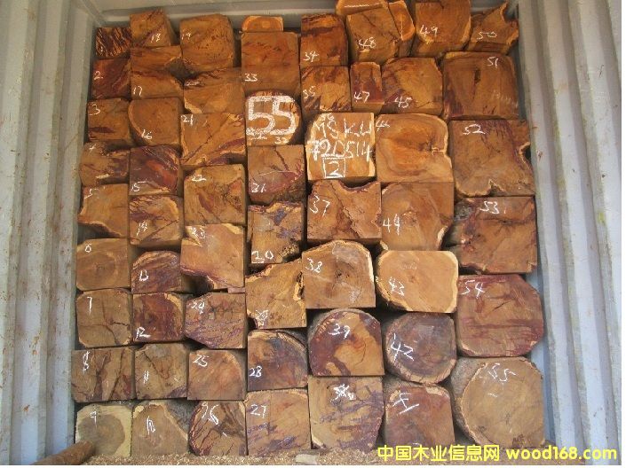 �������Ԕ��(x��)��B