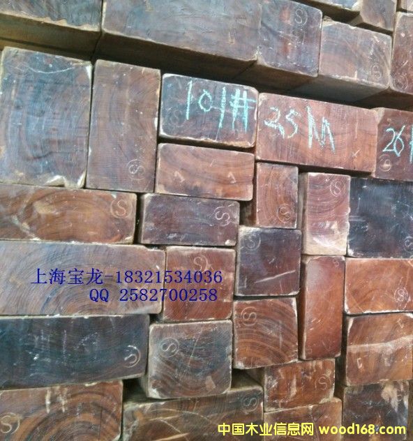 ������ľ��Ԕ����B