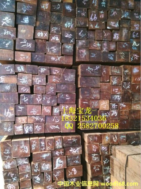 ������ľ��Ԕ����B