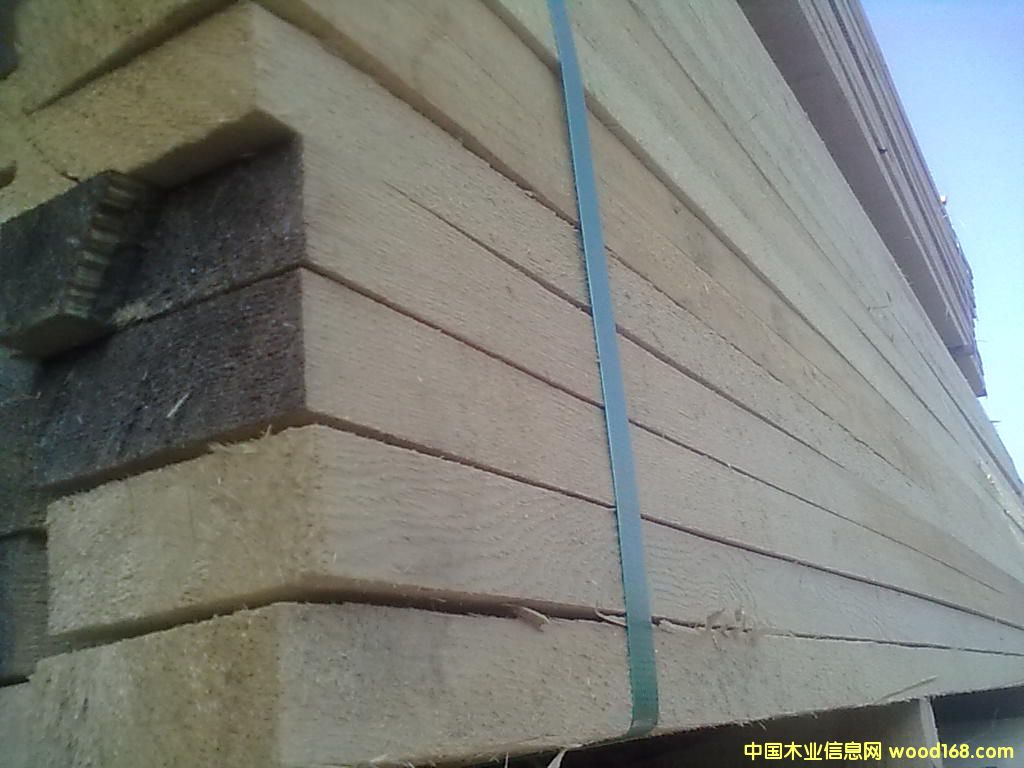 �Fɼ����ľ����Ԕ��(x��)��B