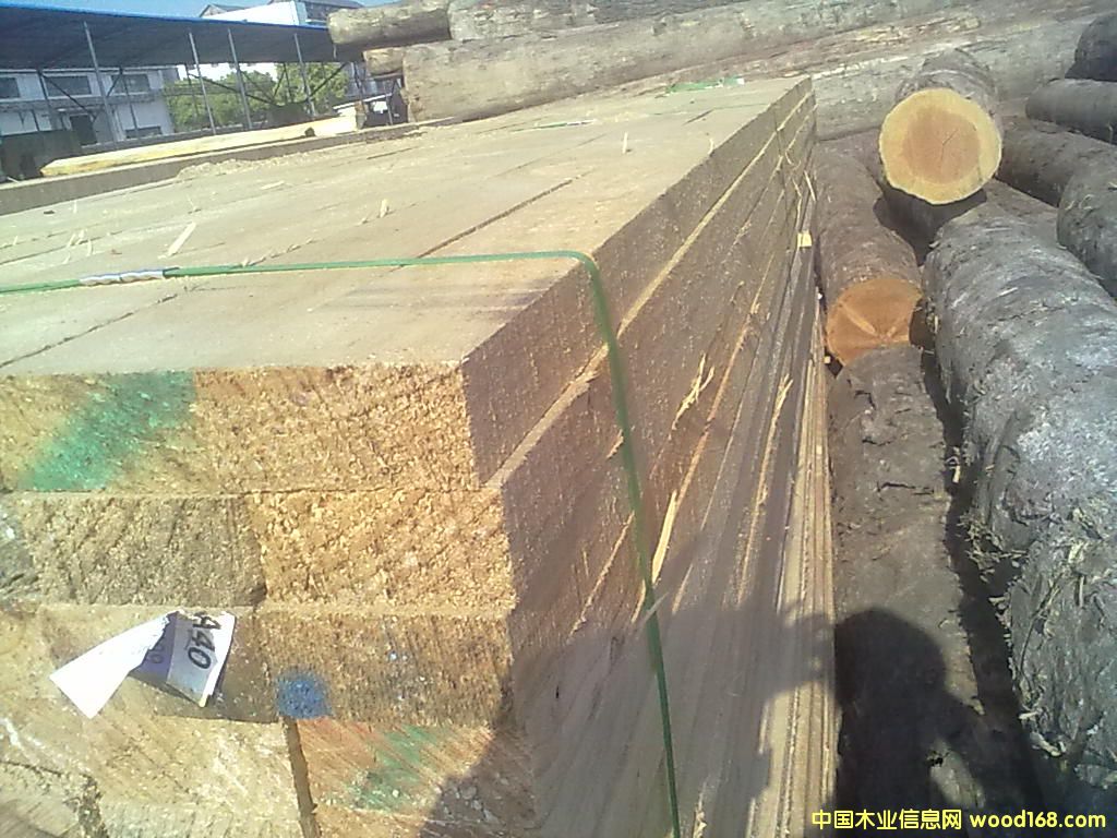 ݗ���ɽ���ľ����Ԕ��(x��)��B