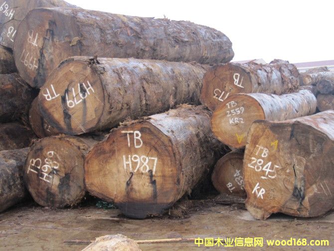 �t�֙���TB