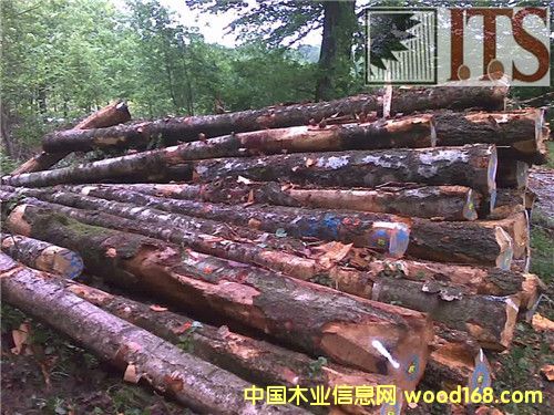 ��ľԭľ��Ԕ��(x��)��B