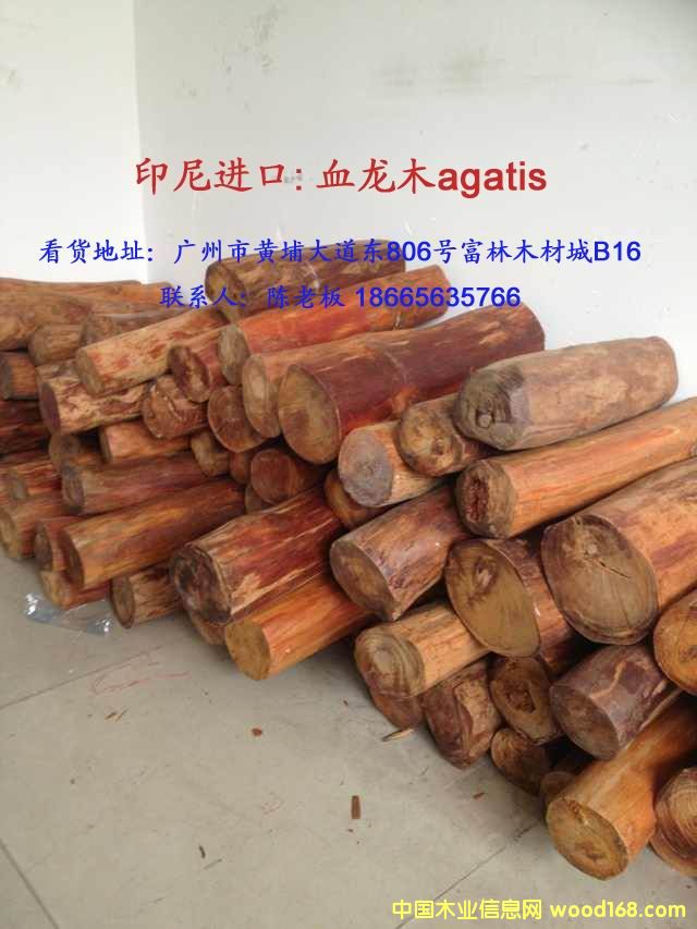 Ѫ��ľ��Ԕ����B