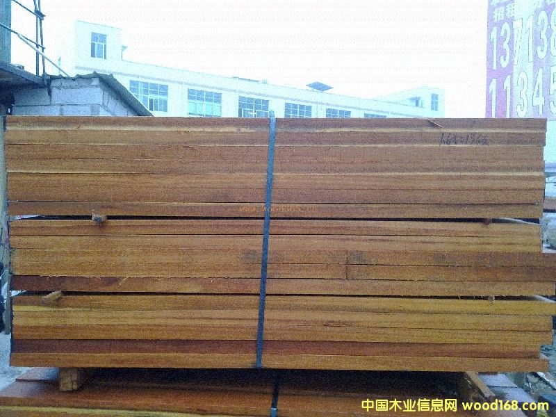 金不換的詳細(xì)介紹