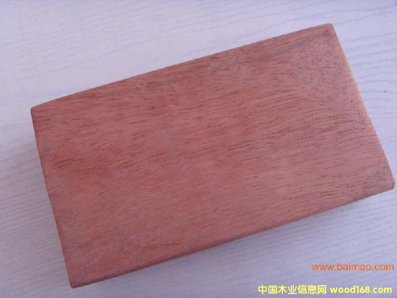 山樟木的詳細介紹