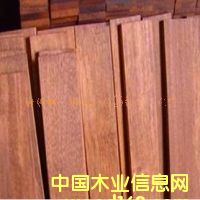 銀口木的詳細介紹