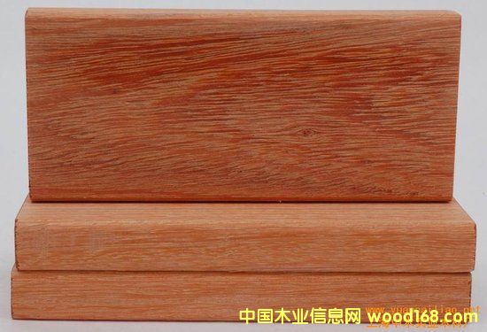 康巴斯的詳細介紹